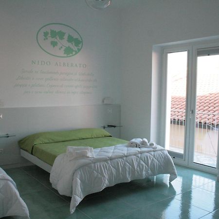 Praja Vecchia Bed and Breakfast Praia a Mare Εξωτερικό φωτογραφία